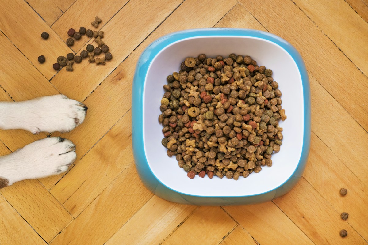Grain-Free Kibble 5kg