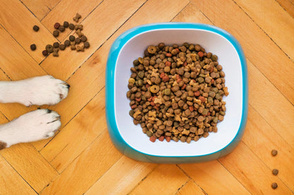 Grain-Free Kibble 5kg