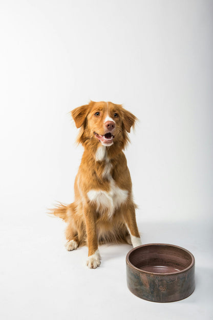 Grain-Free Kibble 5kg