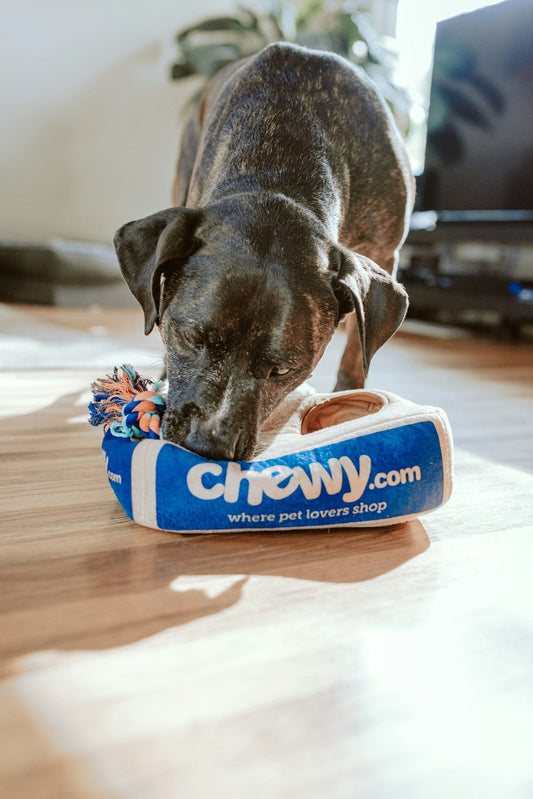 Puppy Training Pads