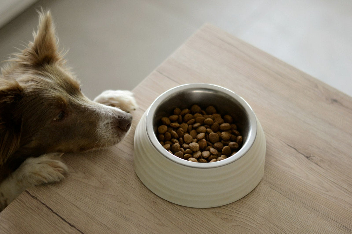 Grain-Free Kibble 5kg