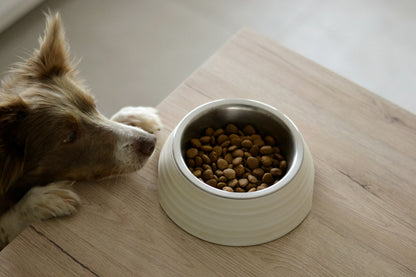 Grain-Free Kibble 5kg